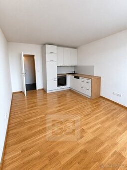 Pronájem bytu 1+kk 30 m², Kladno, ev.č. N09815