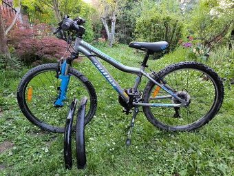 Kolo Author A-matrix 24"