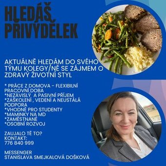 Práce z domova