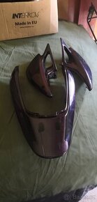 Kawasaki_ER5_plasty