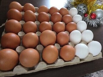 Domácí vejce kus.7.-kč.Tel.728311049