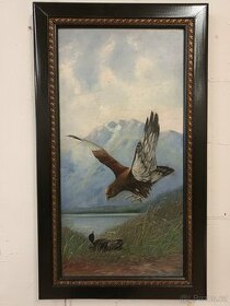 Obraz - Orel lovící kachnu