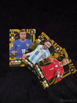 Panini ms 2026
