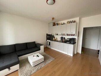 Pronájem novostavby s terasou Čadova, Olomouc