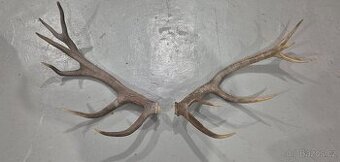 Parohy - 1