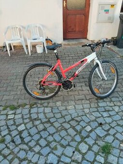 Dívčí horské kolo