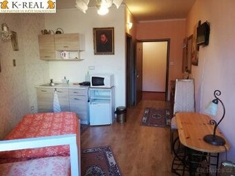 Pronájem byt 1+0 Brno - Bosonohy, okr. Brno - město