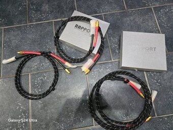 RAPPORT AUDIO TECHNOLOGY