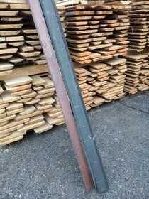 Hřebenáč měděný