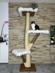 Kočičí strom peo velké kočky