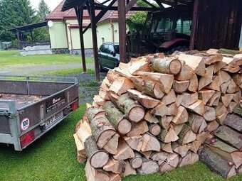 Rovnané, kvalitní, palivové dříví - jedle