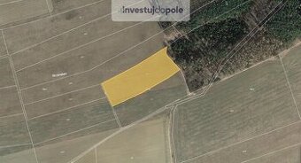 Prodej pole v k.ú. Novosedly u Rakovníka