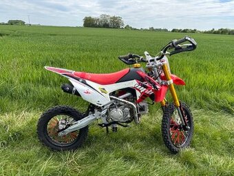 Pitbike WPB 155 - 1