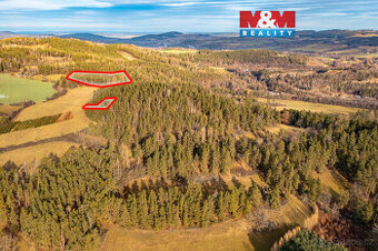 Prodej lesa, 30891 m², Malenice