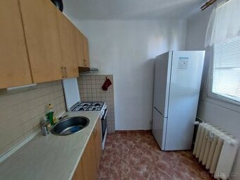 Pronajem bytu Kolin Druzstevni ulice - 1