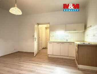 Pronájem suterénní byt 1+kk, 33 m², Plzeň, ul. Němejcova