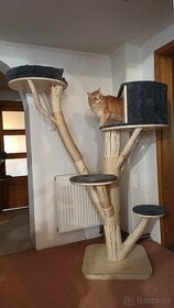Kočičí strom / škrabadlo pro kočky / kočka