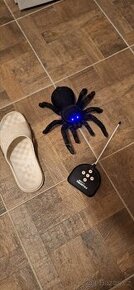 Prodám děsivou tarantuli