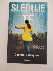 Charlie Gallagher - Sleduje tě