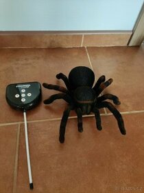 Prodám děsivou tarantuli - 1