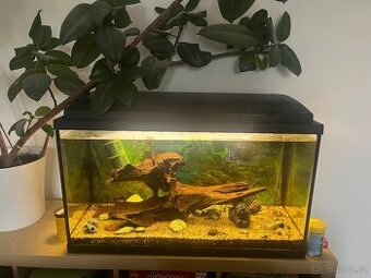 Akvárium 120l