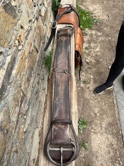 Westernovy podbrišník - 1