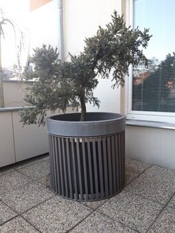 Designový květináč, obal nerez/dřevo