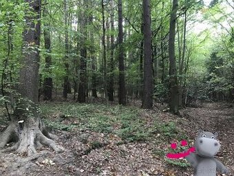 Prodej louky 40 558 m², Podkopná Lhota, ev.č. 58704 - 1