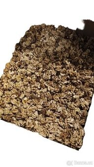 Loupané vlašské ořechy