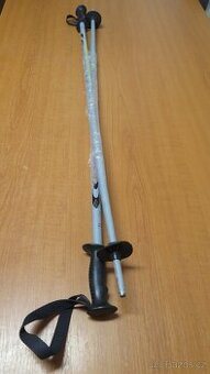 Sjezdové lyžařské hole