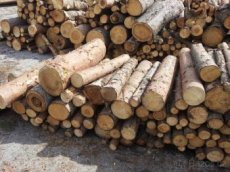 Palivové dřevo smrk Prachatice a okolí do 50 km