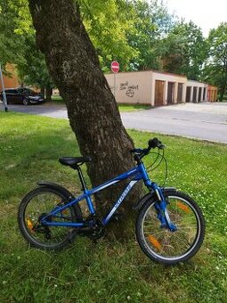 Specialized hotrock 20