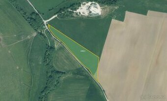 Zemědělská půda, prodej, Skviřín, Bor, Tachov