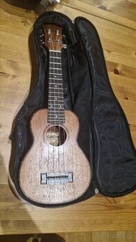 Ukulele set CASCHA