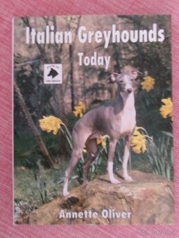 Italian Greyhounds Today.