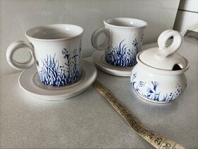 Přátelská souprava