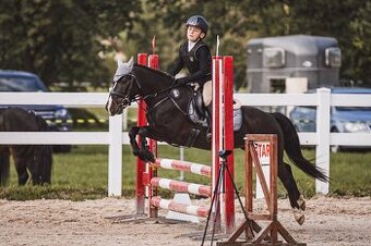Prodej pony 125 cm