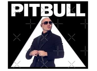 PITBULL - sezení naproti podiu - 18. 6. 2025 Praha