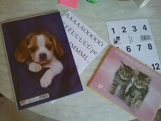 Desky na písmena a desky na číslice