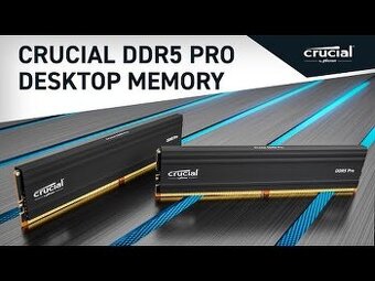 Crucial Pro 48GB DDR5-5600 UDIMM