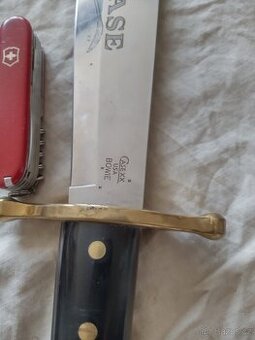 Bowie Case