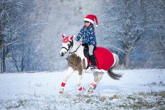 Pony S kobylka 121 cm