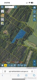 Prodej lesního pozemku v k.ú.Domašín okr.Vlašim