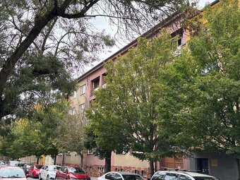 Byt 3+1 cihla Plzeň Bory Máchova ulice