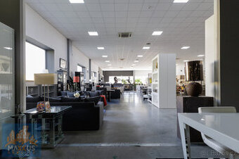 Pronájem obchodních prostor/showroomu (518,24 m2), SHOP PARK