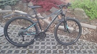 Specialized Jett