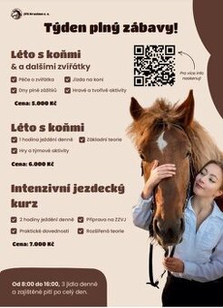 Příměstské tábory a intenzívní jezdecký kurz