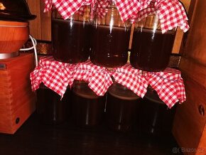 Kombucha - 1