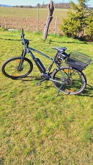 Author Engine 29, 2020