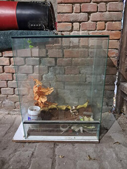 Prodám terárium š60xh40xv80cm viz foto